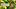 Video Platzhalter