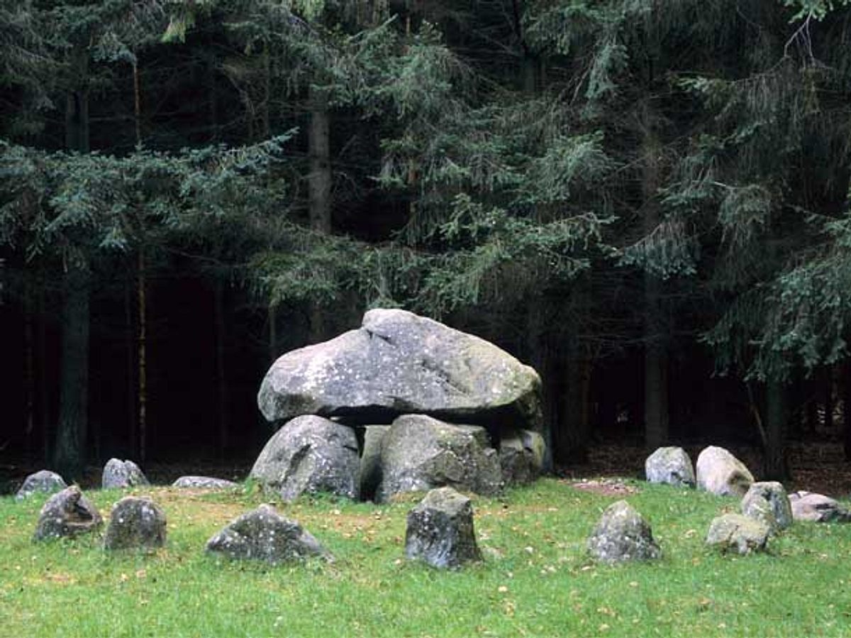 Kraftorte magische Orte Deutschland Everstorfer Forst