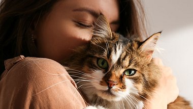 10 Dinge, mit denen du die Gesundheit deiner Katze gefährdest - Foto: undefined undefined/iStock