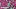 Video Platzhalter