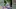 Video Platzhalter