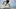 Video Platzhalter Video Platzhalter