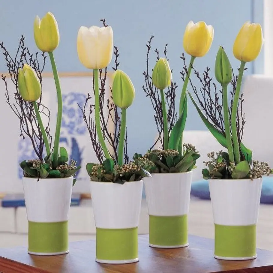 4 tulpen neu