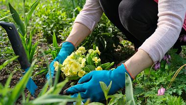 Diese Helfer machen Gartenarbeit einfach. - Foto: Valeriy_G/istock