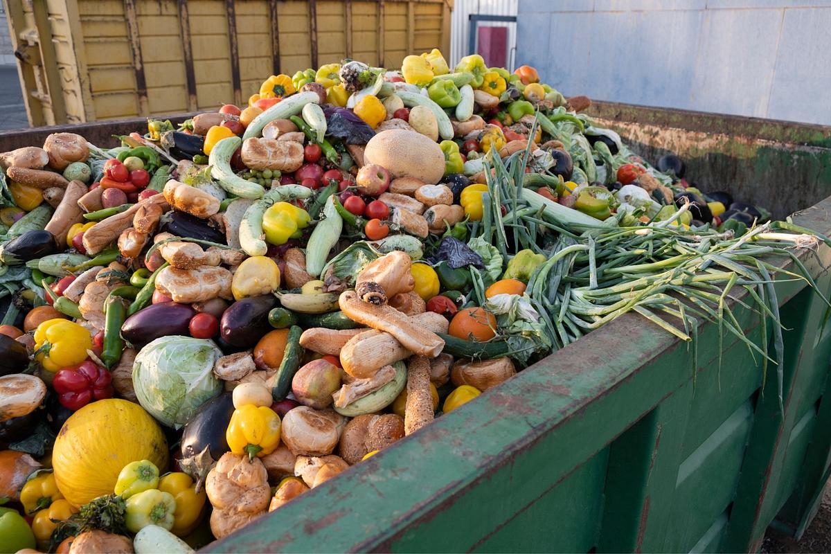 Symbolbild Lebensmittelverschwendung: Container voll von Obst, Gemüse, Backwaren