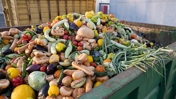 Symbolbild Lebensmittelverschwendung: Container voll von Obst, Gemüse, Backwaren - Foto: Roman Mykhalchuk/iStock