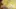 Video Platzhalter Video Platzhalter