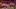 Video Platzhalter Video Platzhalter