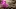 Video Platzhalter Video Platzhalter