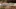 Video Platzhalter Video Platzhalter