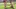 Video Platzhalter Video Platzhalter