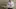Video Platzhalter Video Platzhalter