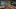 Video Platzhalter Video Platzhalter