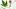Video Platzhalter Video Platzhalter