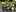 Deko-Tipp 9 944311 blumenstraussmitlavendelx600_800x600