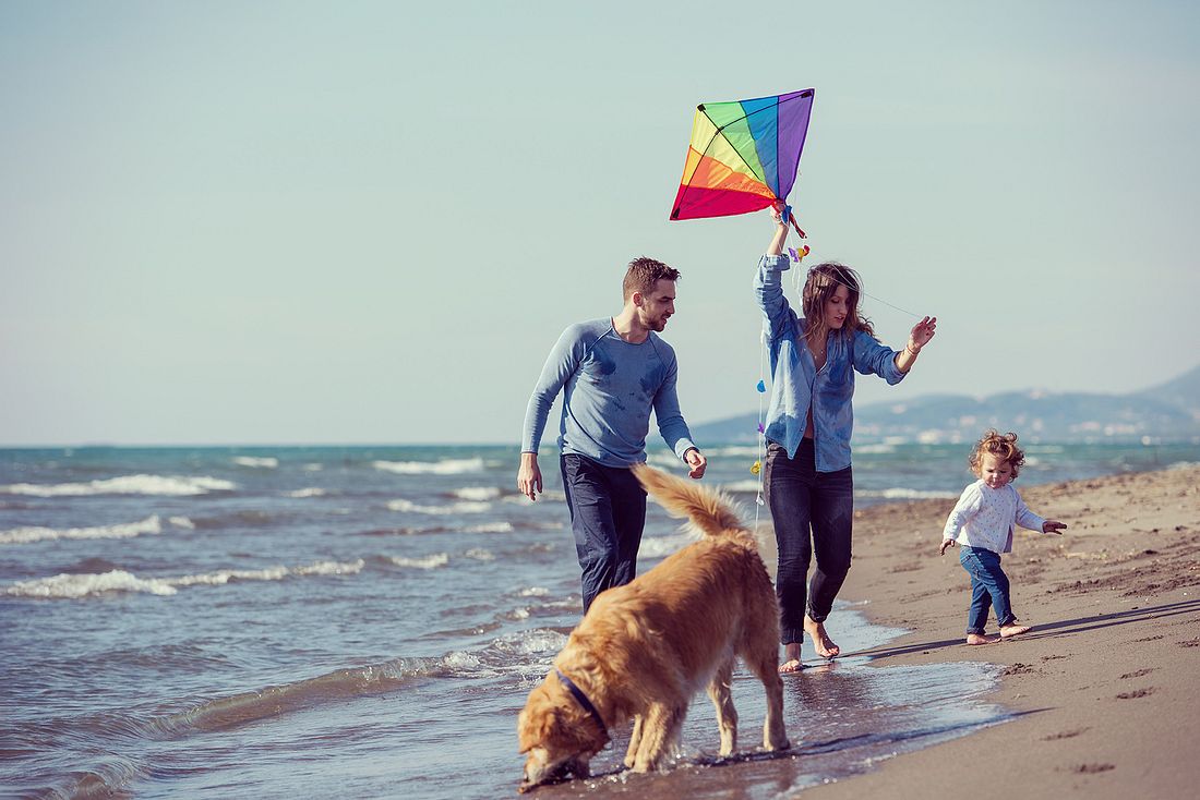 Familie, Tiere und Haushalt: Was hilft, wenn es chaotisch wird Familie, Tiere und Haushalt: Was hilft, wenn es chaotisch wird
