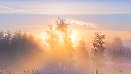 Alle Fakten zum Altweibersommer. - Foto: iStock/ElenaBelozorova