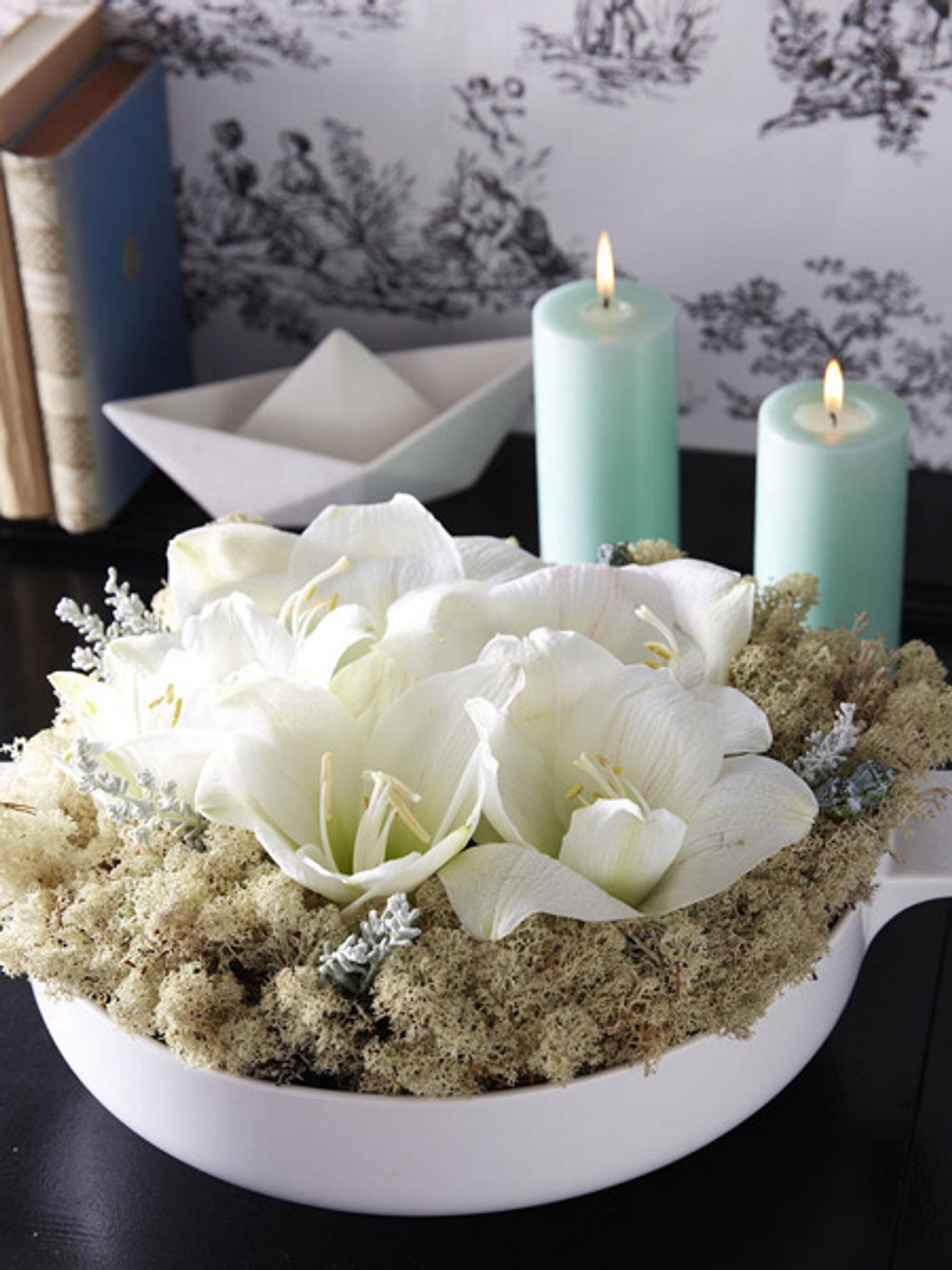 amaryllis