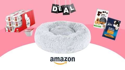 Amazon Prime Day 2.0 Deals - Foto: Wunderweib.de/ PR