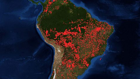 Die Karte der NASA zeigt, wo es auf der Welt brennt. - Foto: NASA Firms