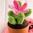 Kleiner Kaktus, große Blüte und garantiert keine Verletzungsgefahr. - Foto: frechverlag