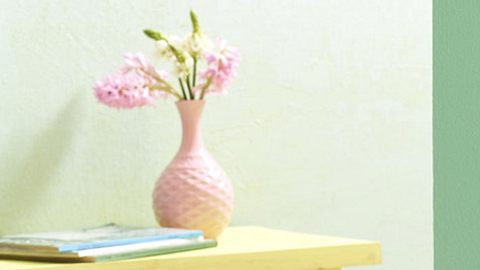 anleitung schildkroete - Foto: deco&style