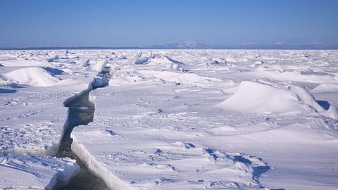 In der Antarktis ist es so warm wie noch nie! - Foto: iStock