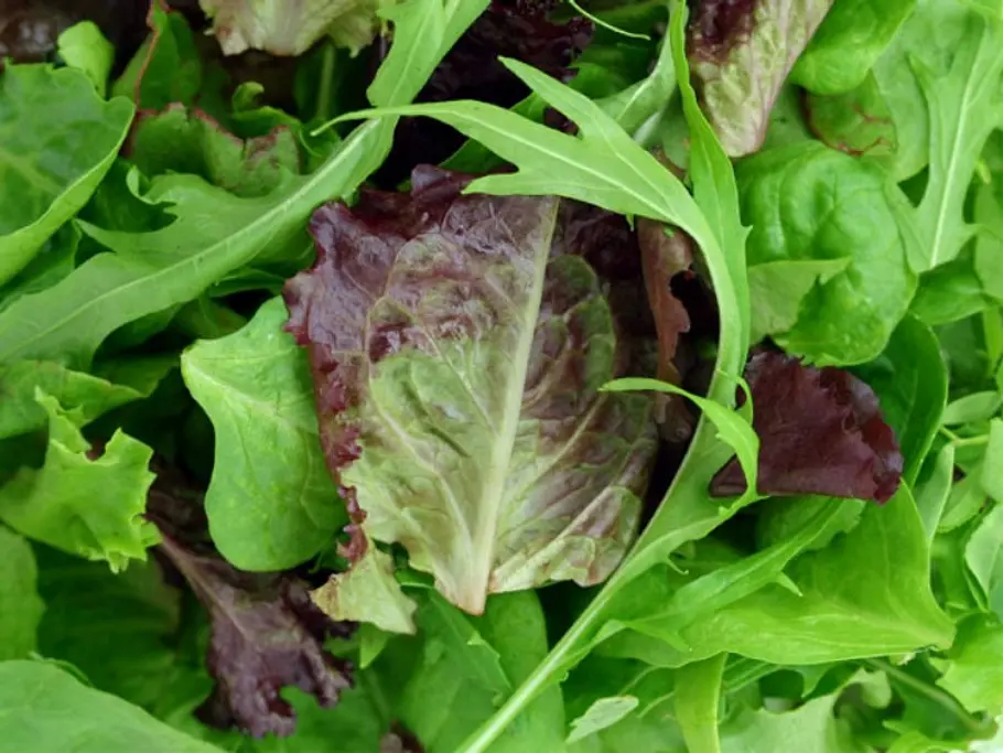 18. Grünes Blattgemüse Ein grüner Salat ist DER unschlagbare Favorit unter den natürlichen Appetithemmern