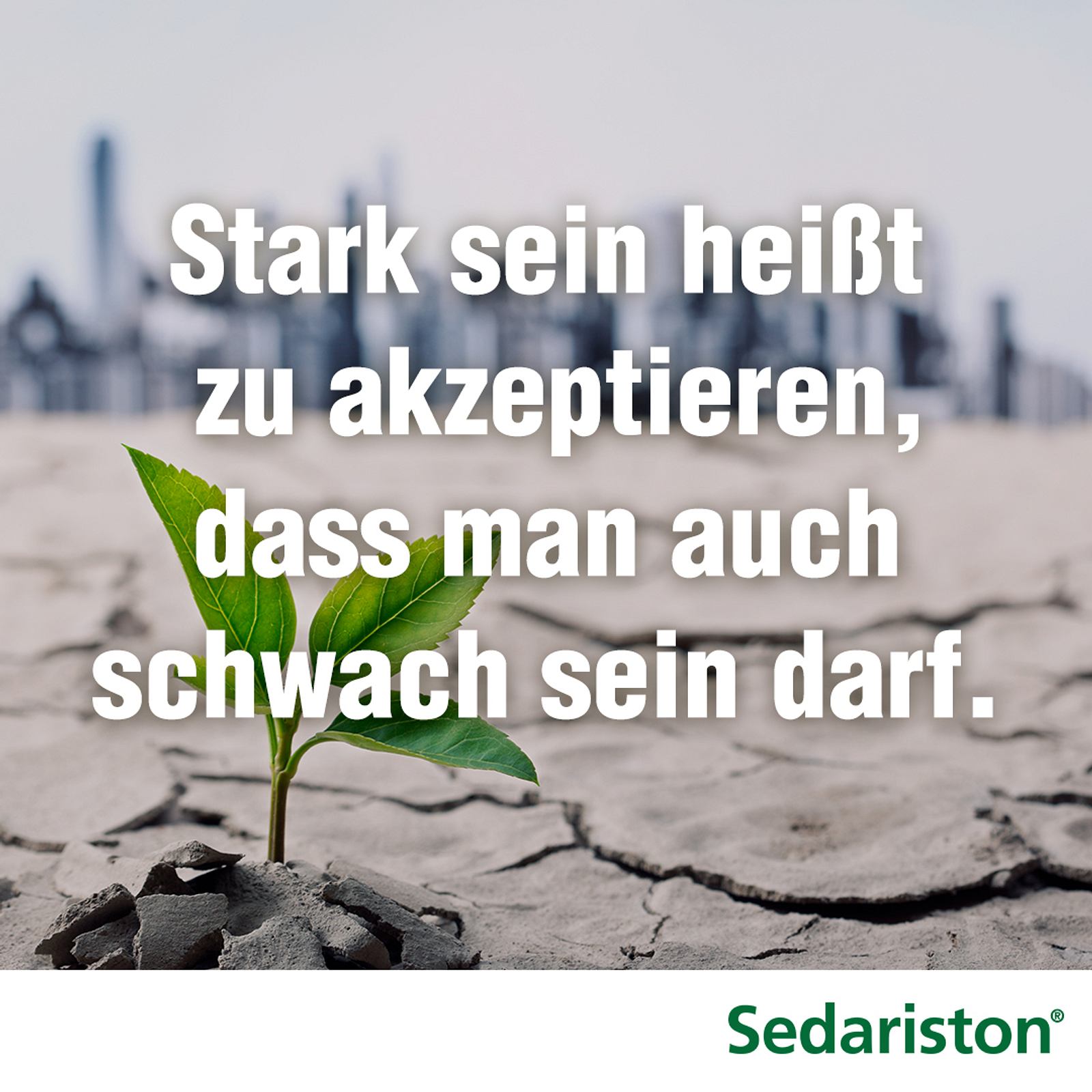 Worte für ein besseres Wohlbefinden Wunderweib
