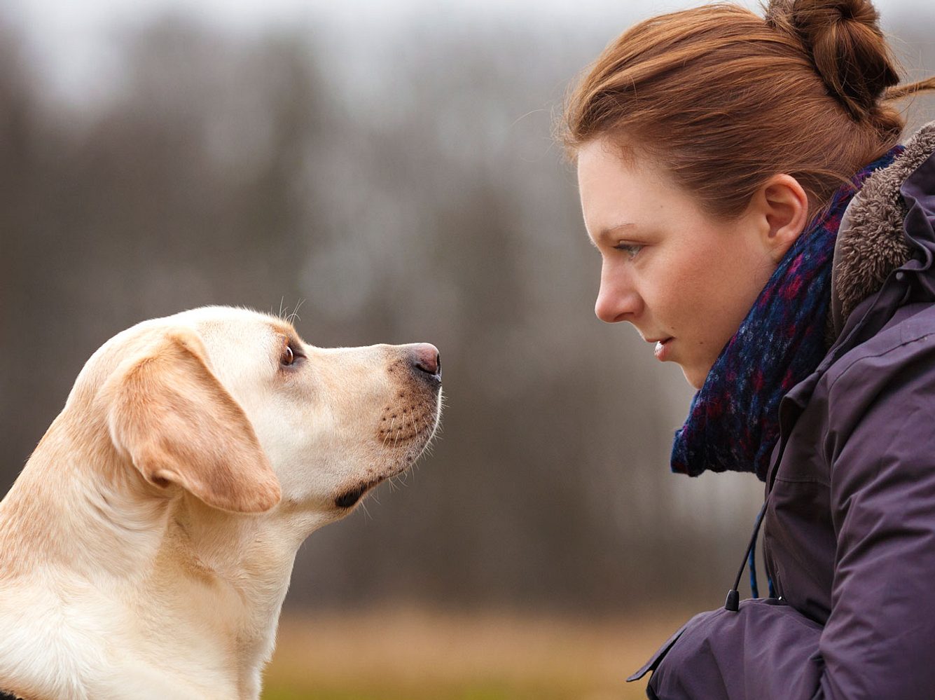Assistenzhund Valentino und Bea Assistenzhund Valentino und Bea