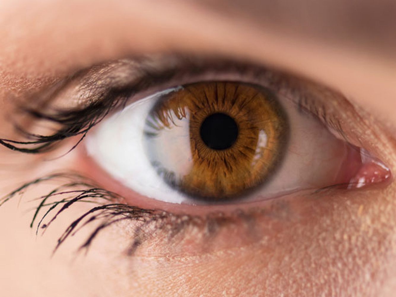 Die Farbe unserer Augen kann Aufschluss darüber geben, wie stark unsere Abwehrkräfte sind. Die Farbe unserer Augen kann Aufschluss darüber geben, wie stark unsere Abwehrkräfte sind.