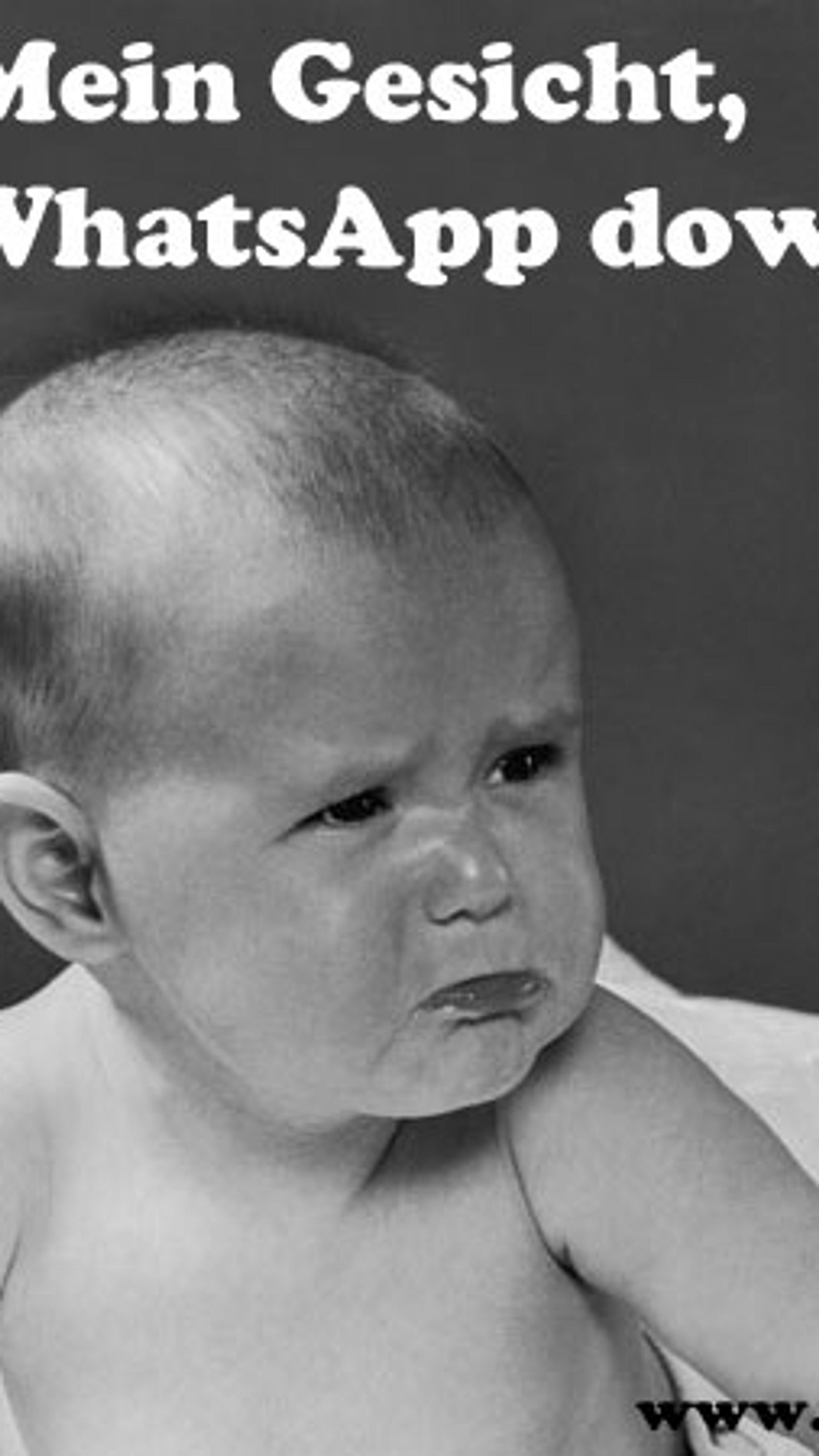 lustige bilder für whatsapp sticker