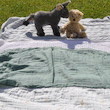 Verscheidene Babydecken auf einer Wiese ausgebreitet mit Stofftieren im Hintergrund - Foto: Foto/ Wunderweib