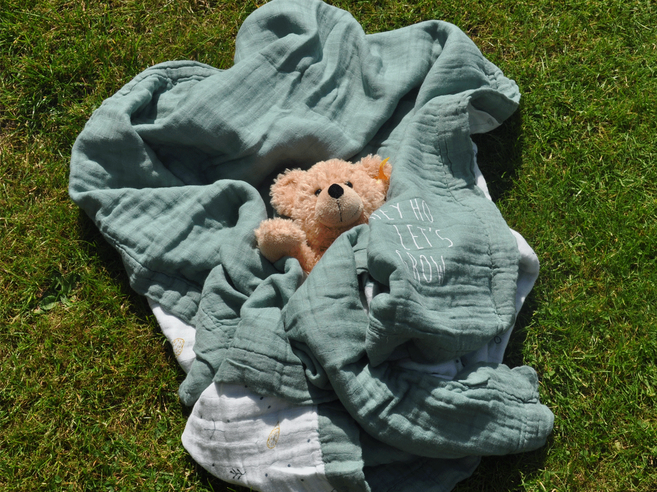 Die perfekte Babydecke finden: Diese Eigenschaften muss sie haben! Babydecke aus Mousselin-Stoff eingeschlagen mit Stoff-Teddy
