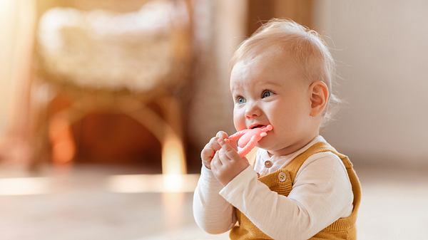 Baby beißt in Beißring (Themenbild) - Foto: Prostock-Studio/iStock