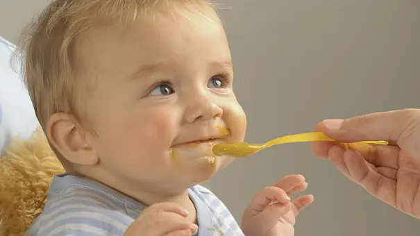 Lauter einer neuen Studio sollten Babys nicht zu früh mit Beikost beginnen. - Foto: iStock Lauter einer neuen Studio sollten Babys nicht zu früh mit Beikost beginnen. - Foto: iStock