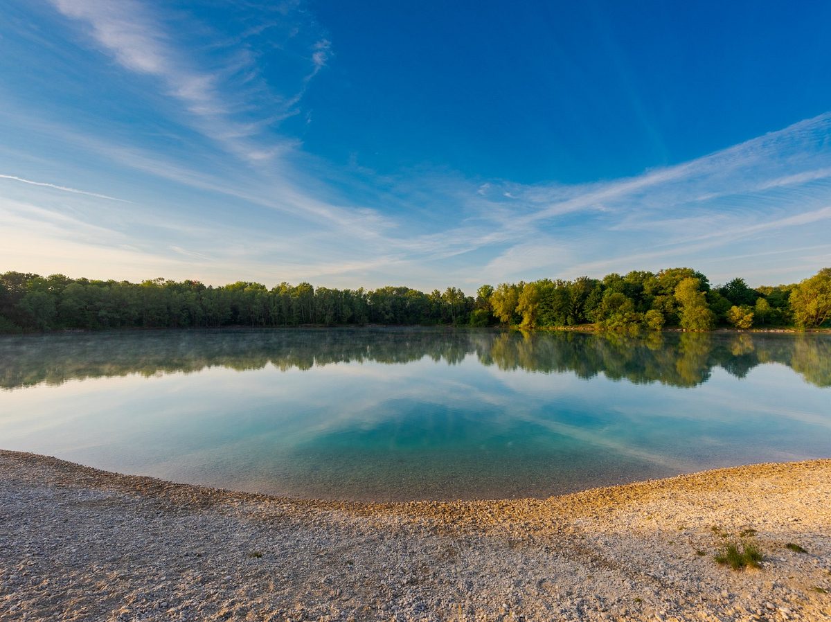 Zerkarien im Badesee: Badedermatitis sind kleine Pusteln nach dem Bad im Flachwasser