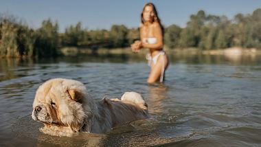 Hund mit Frauchen beim Baden im See - Foto: supersizer/iStock