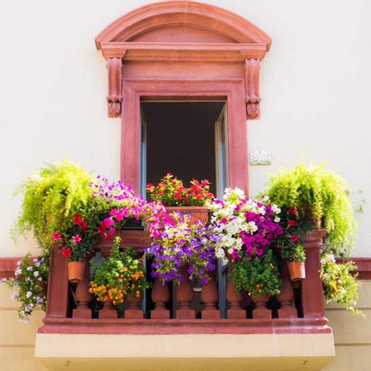 balkon erlaubt pflanzen