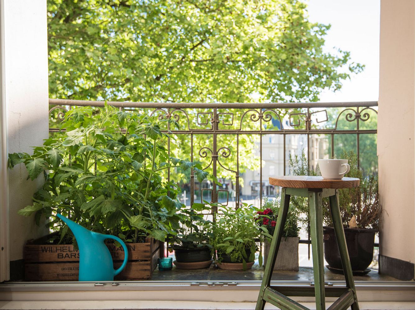 Es gibt zahlreiche Gemüse-Sorten die auf deinen Balkon anbauen kannst.