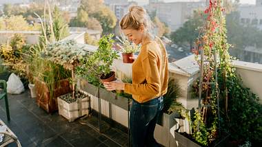 Frau mit Pflanzen auf Balkon - Foto: iStock/AleksandarNakic