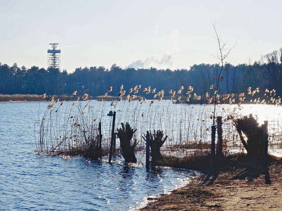 Berlin: Mädchen (15) bei Tag am See vergewaltigt - Ermittelnde Polizisten angegriffen!