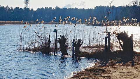 Berlin: Mädchen (15) bei Tag am See vergewaltigt - Ermittelnde Polizisten angegriffen! - Foto: Imago Images