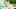 Video Platzhalter Video Platzhalter