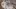 Video Platzhalter Video Platzhalter
