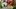 Video Platzhalter Video Platzhalter