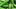 Video Platzhalter Video Platzhalter