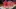 Video Platzhalter Video Platzhalter