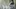 Video Platzhalter Video Platzhalter