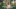 Video Platzhalter